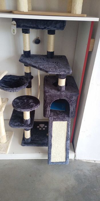 Катерушки за котенца