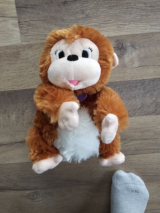 Maimuță plus Moki ce chicoteste și da din mâini