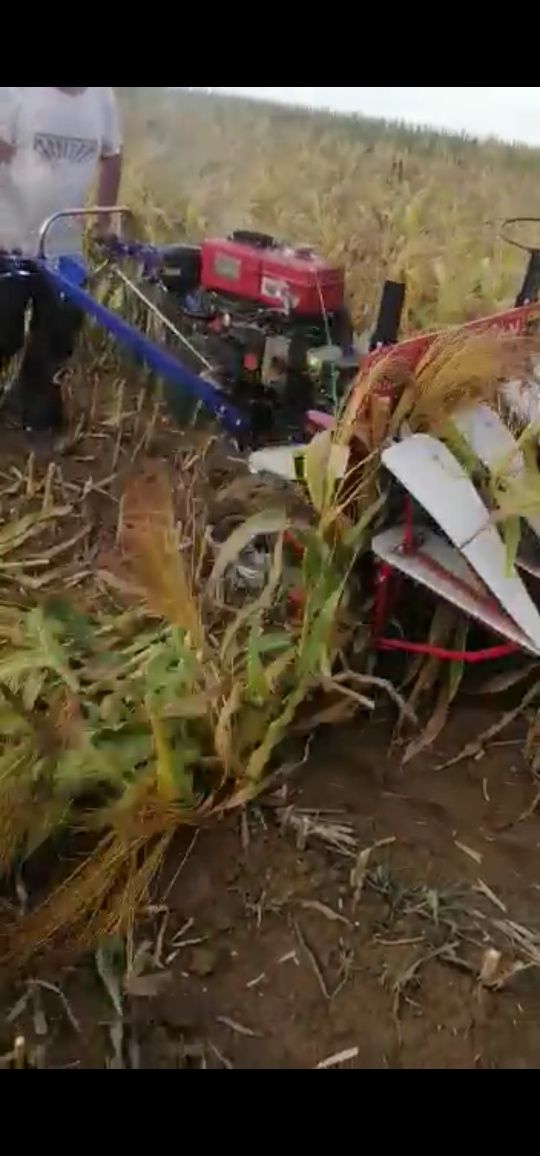 Vând motocultor de tăiat  sorg