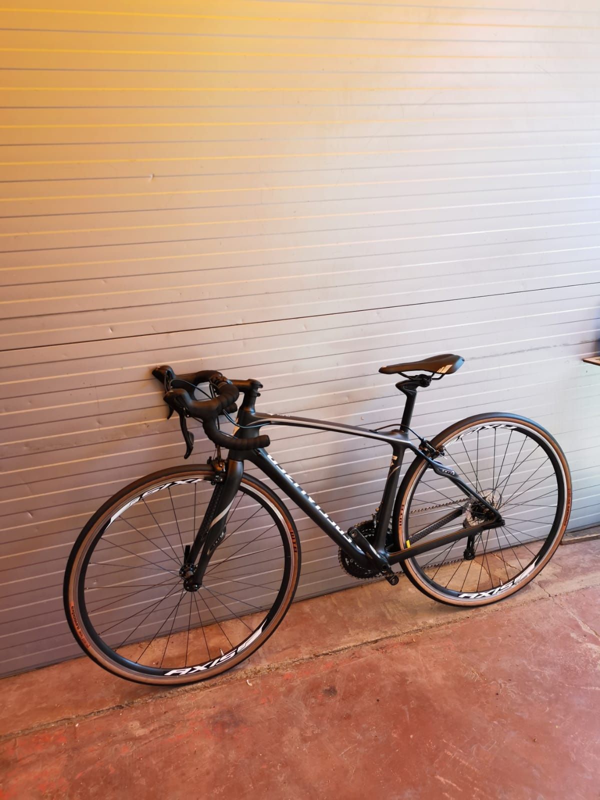 Specialized Gravel Carbon Noua