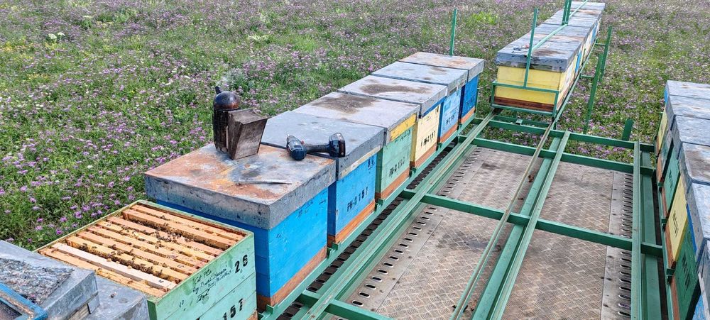 Platformă auto  Apicultor 2700kg