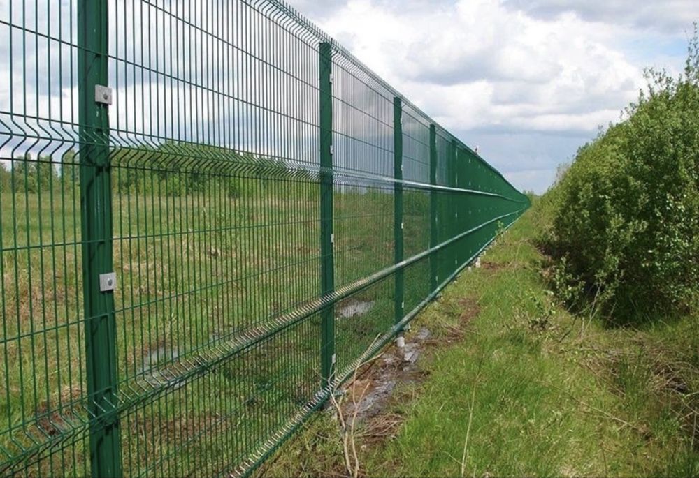 Vand Garduri din plasa