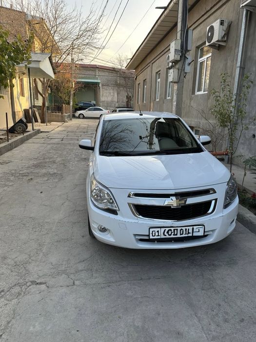 Cobalt At 4 poz Full 2024