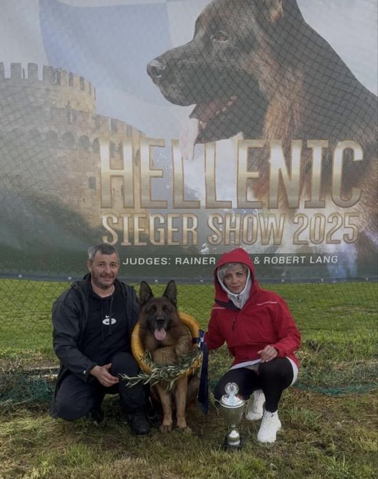 Femela de calitate superioara cu pedigree top
