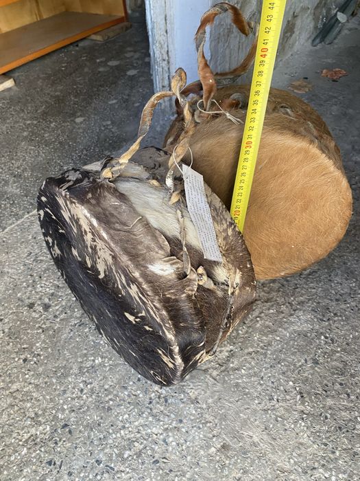 Африкански Тъпан 20 инча  + 2 малки 12инча