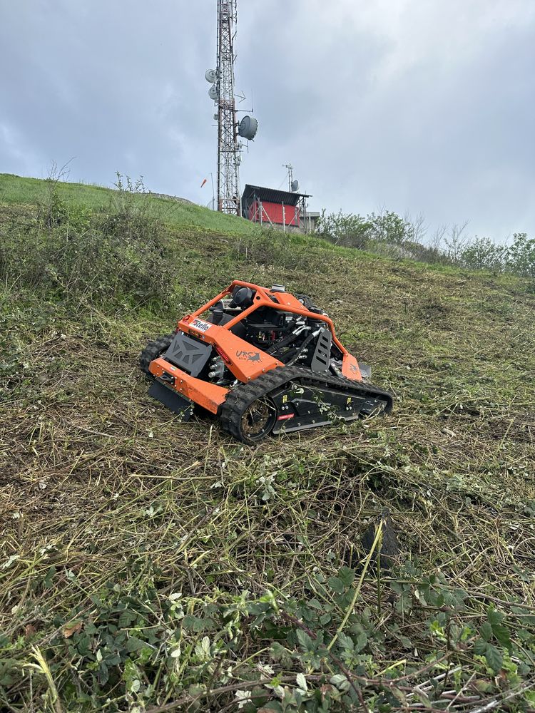 Defrisam Curți,Terenuri, Grădini – Rapid, Ieftin și Fără Bătăi de Cap!