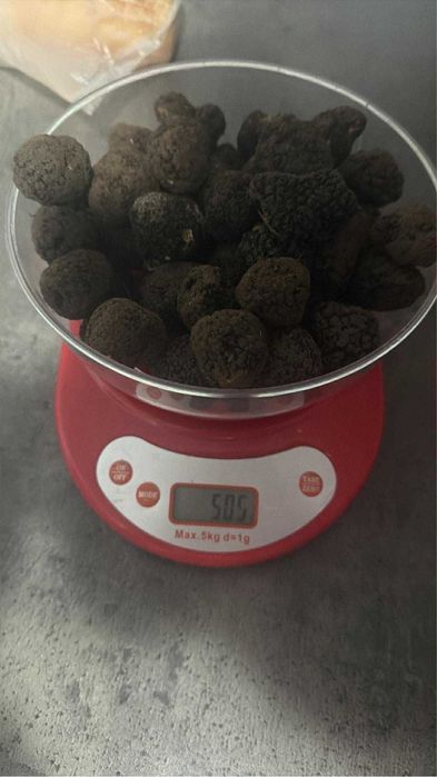 Trufe negre de iarnă