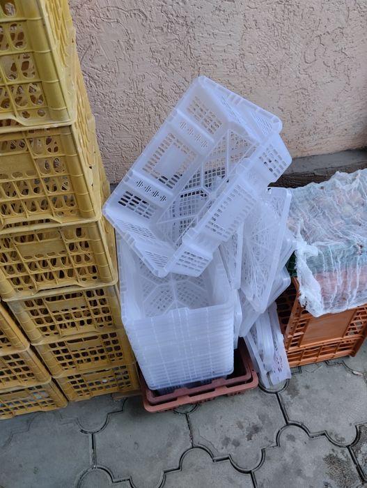 Продам ящики пласмасовые