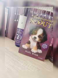 Doua carti Lucky si Scout