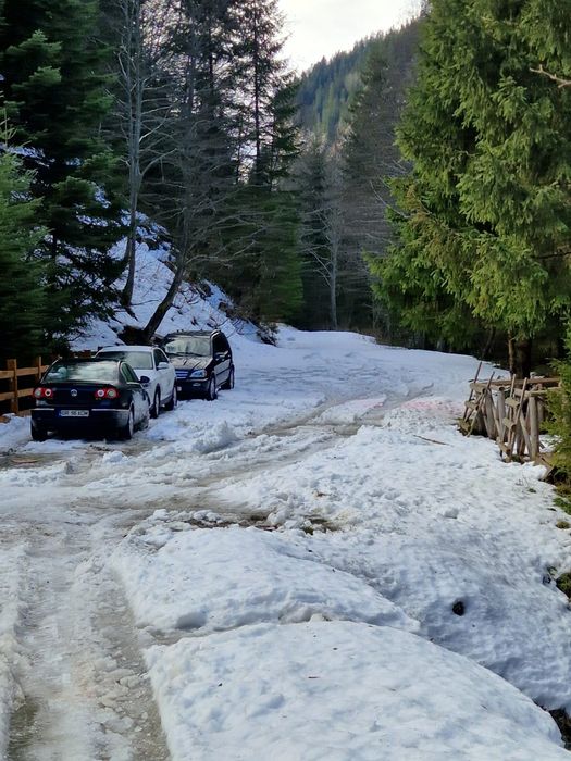 Mercedes-Benz ML Autoutilitara