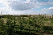 В городе Косшы продаются земельный участок 36 сот. в 15 мин от Астаны