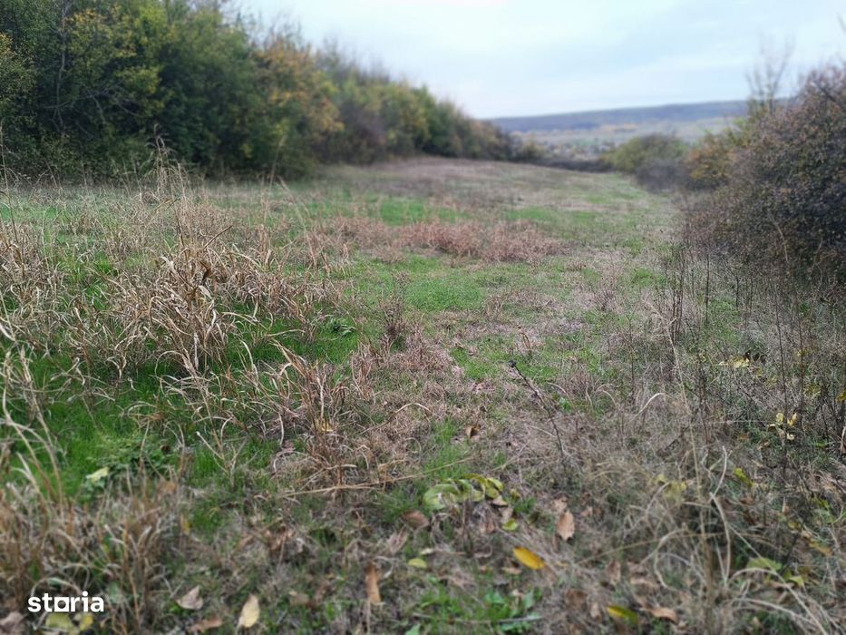 Teren Simnic sat Cornetu 2200mp,deschidere 23mp 1100 intravilan
