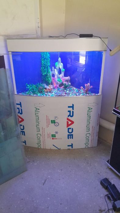 Срочна сотилади Акворюм