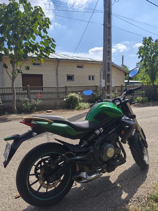 Benelli bn 302 2016