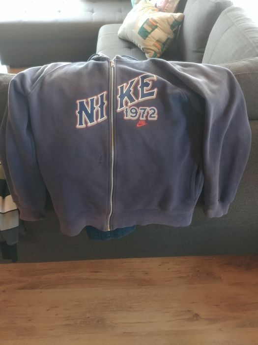 Raiați negri, albastri,închiși și deschisi