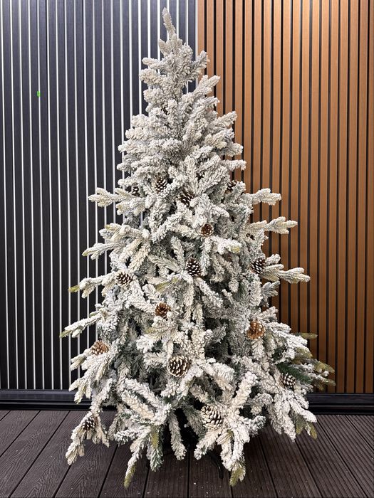 Елки разных видов и размеров