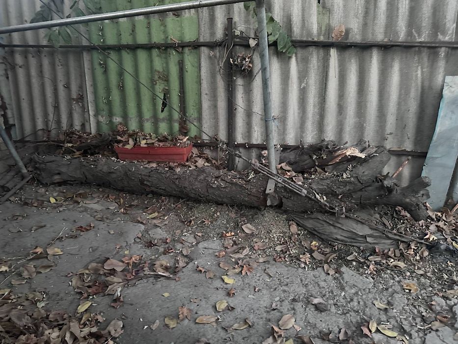 Yog'och дрова самовывоз