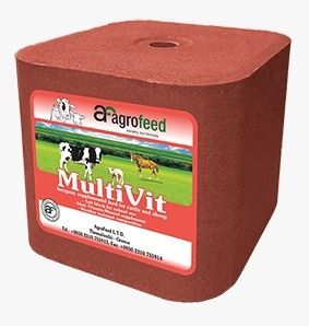 Sare vitaminizat bloc mineral cu vitamine și oligoelemente