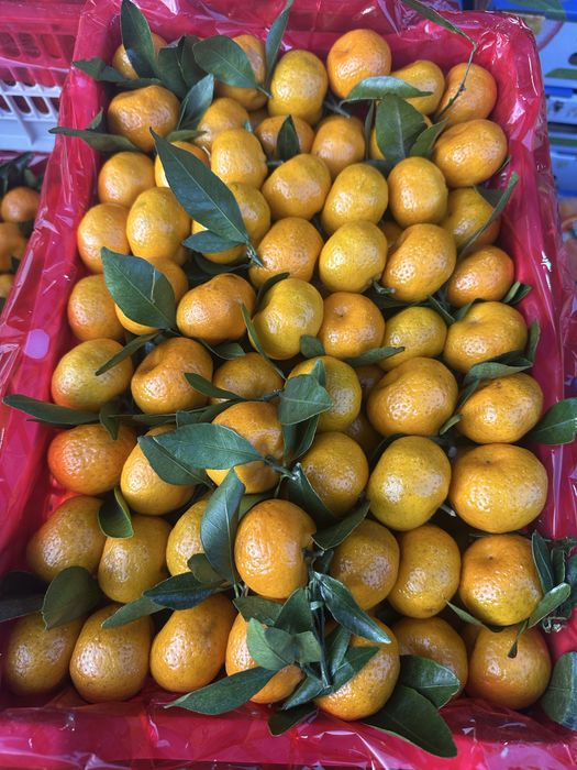 Мандарины бейби   листовка оптом с доставкой по городу