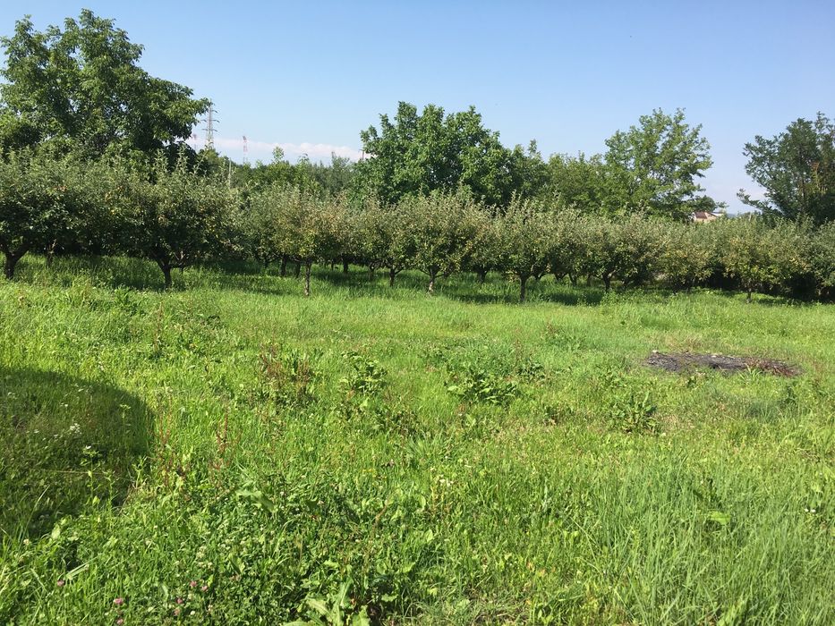 Vind teren in Turcești ,Pitesti