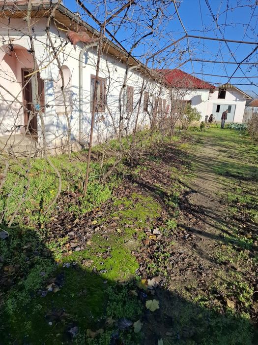 Vand casa in comuna Marsani jud dolj