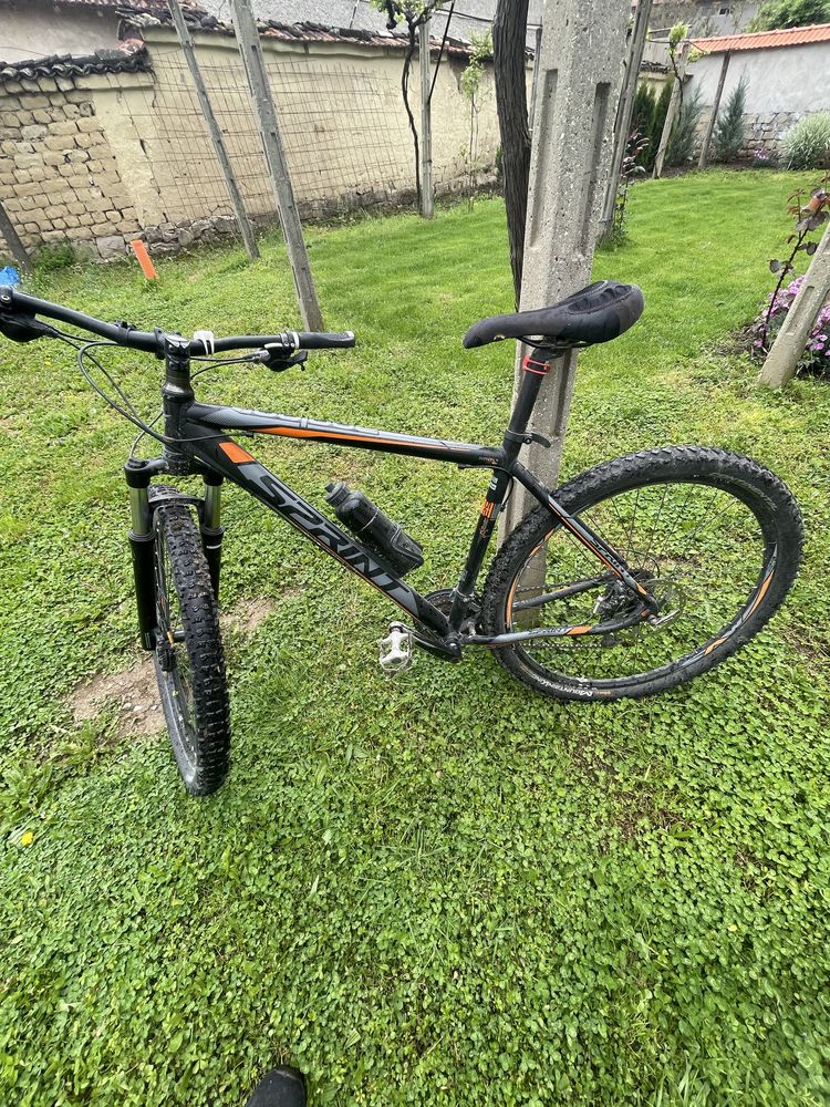 Sprint apolon 29