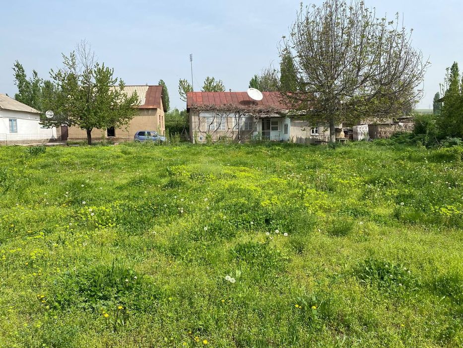 Абай кишлоғида 10 соток ер участка сотилади