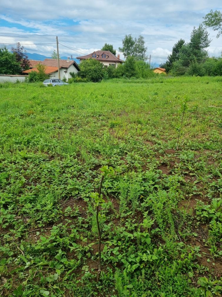 Косене на трева, поддръжка на зелени площи