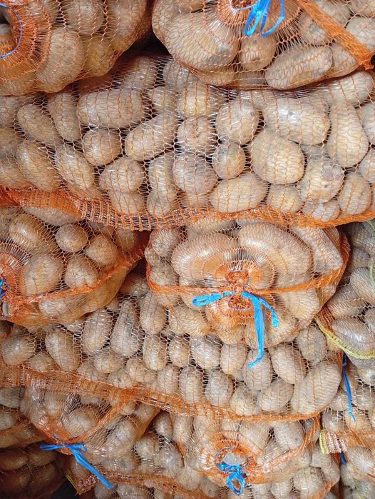 Cartfi alb de consum