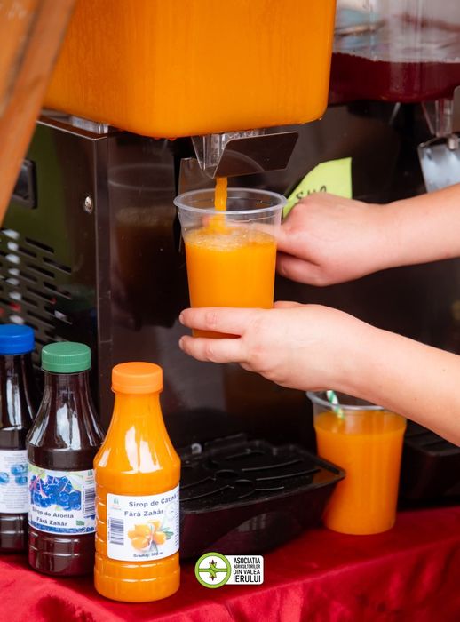 Siropuri Natural Presate la Rece: Cătină, Aronia, Coacăze negre, Afine