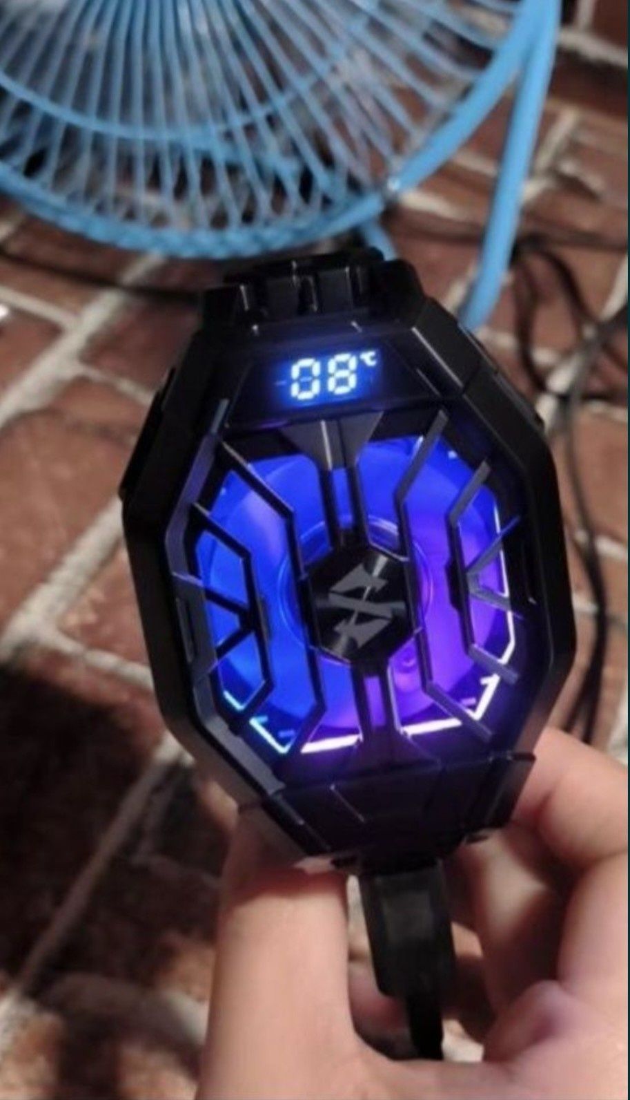 Black shark cooler