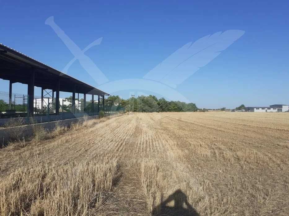 Земеделска земя в село Строево 67631