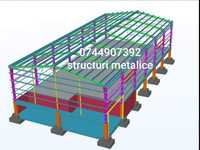 Vand hala metalică 12x31h4