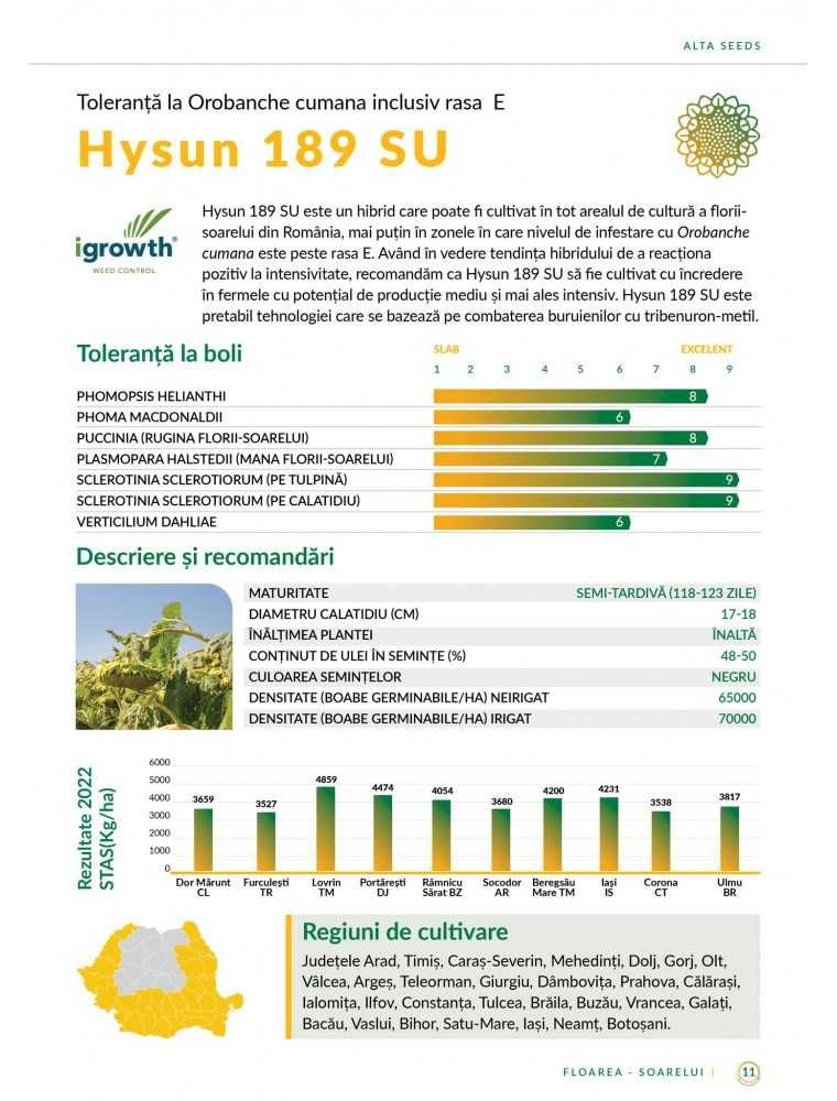 Seminte Floarea Soarelui Hysun 189 SU, 150000 seminte, Alta Seeds