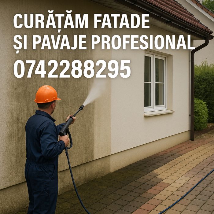 Curstam decorativa / pavajul murdar