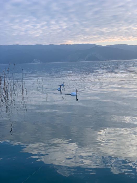 Teren Dunare Caras Severin