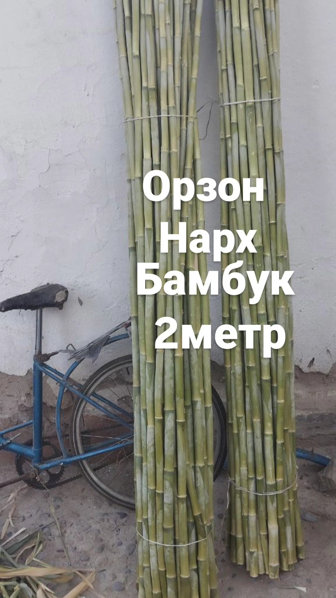 Оптим камиш сотилади