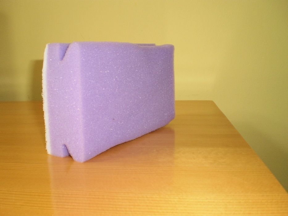 Гъба и четири легени