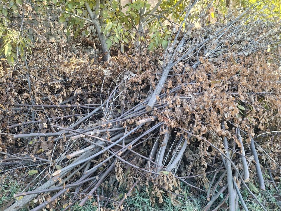 Продаётся большое количество дрова