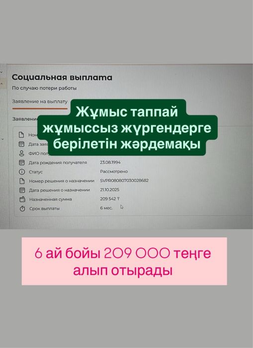 Арест шешу/График кою. Рейтинг. Пособие