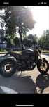 Honda Hornet Pc41 - injectie - cafe racer