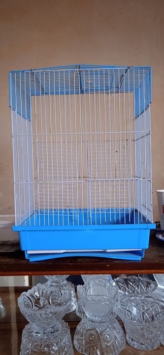 Qafas sotladi xamyak totilar uchun