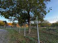 De vanzare 2 parcele Campul Cetatii