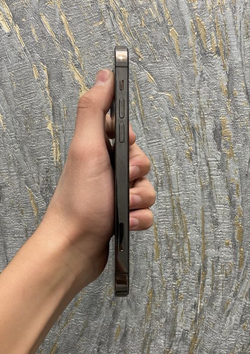 iphone 12 pro srochni