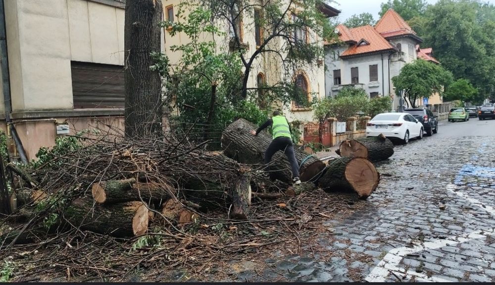 Debarasare ori unde in  Bucureștiul si ilfov