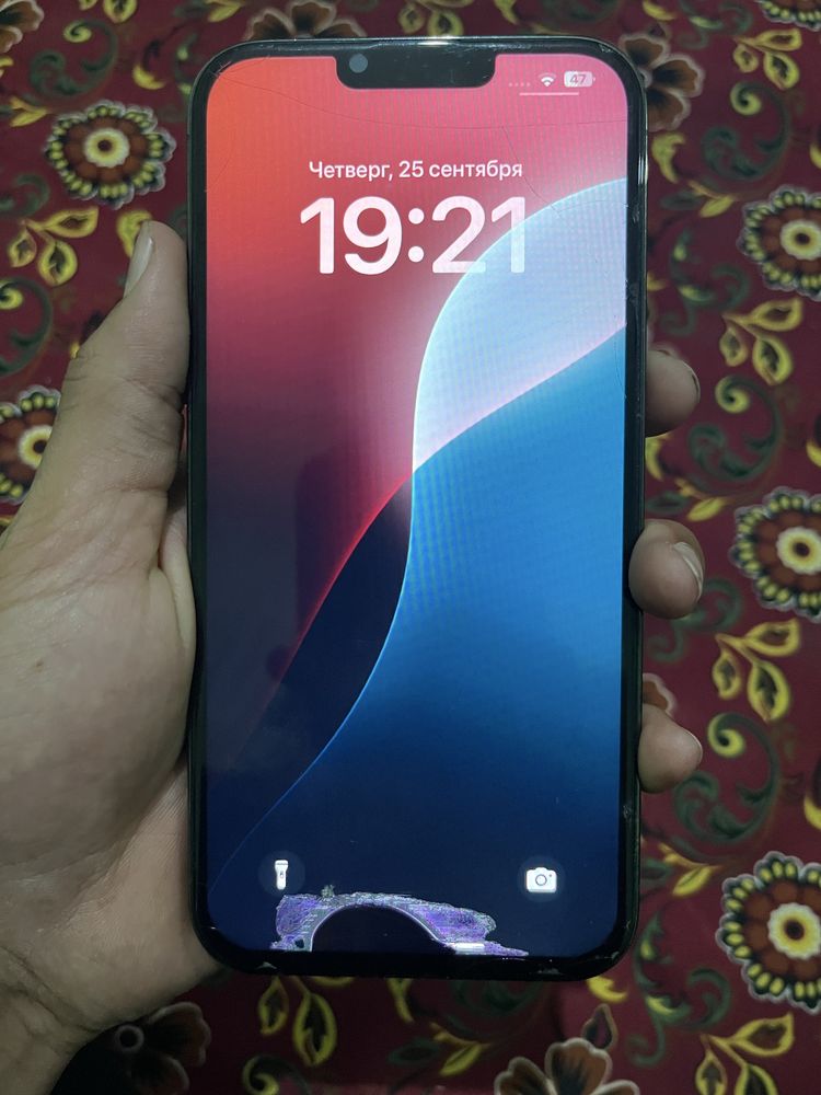 Aiphone 13 pro max