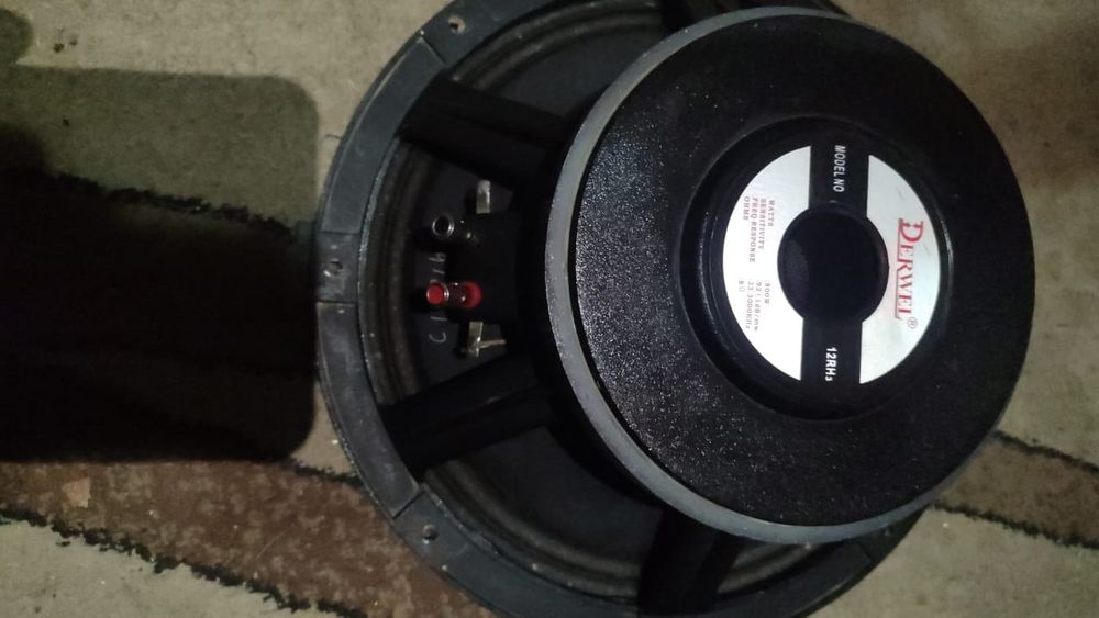 Эстрадные динамики 12