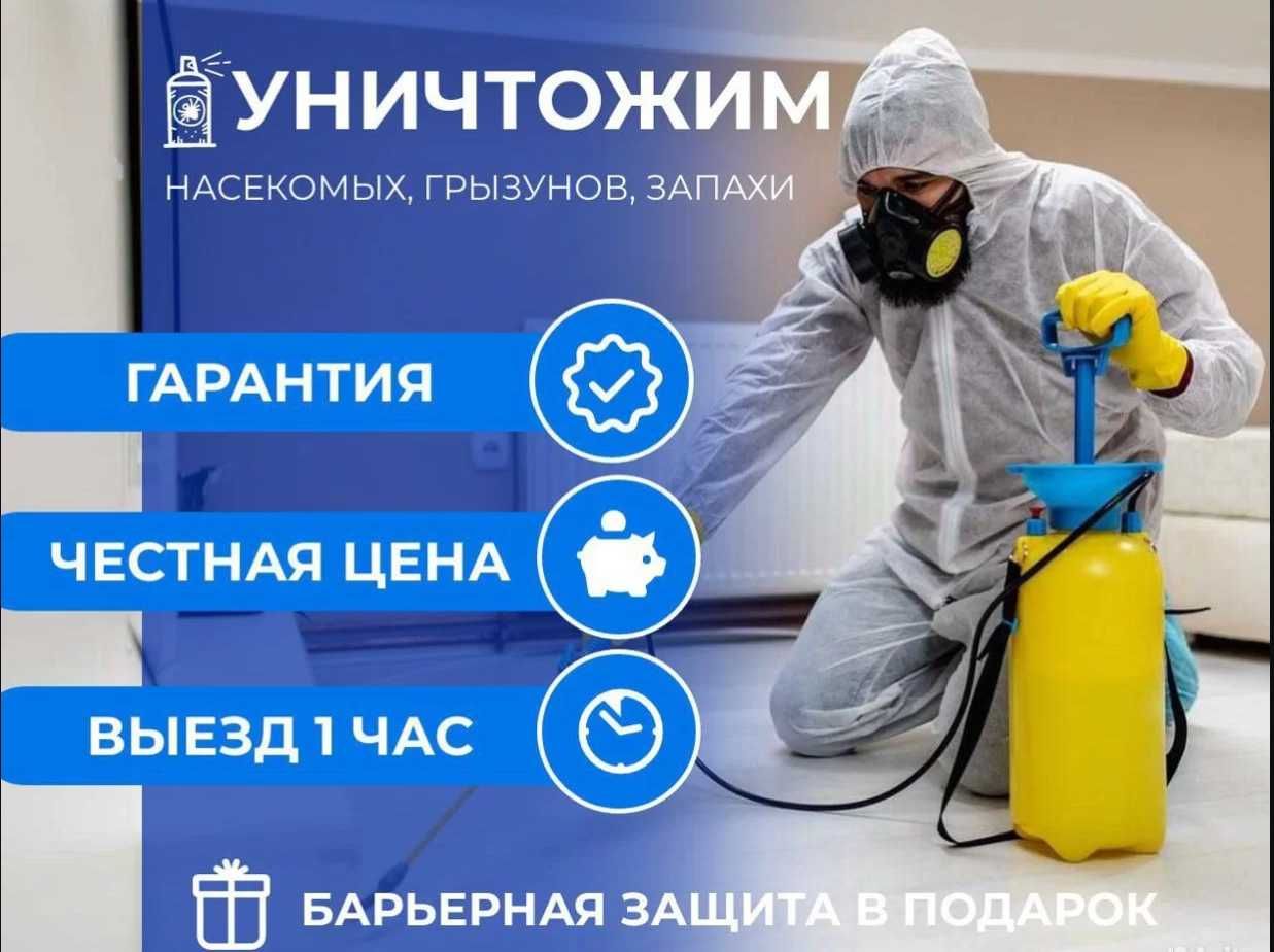 Dezinfeksiya klapa, tarakan | Дезинфекция от насекомых змей крыс мышей