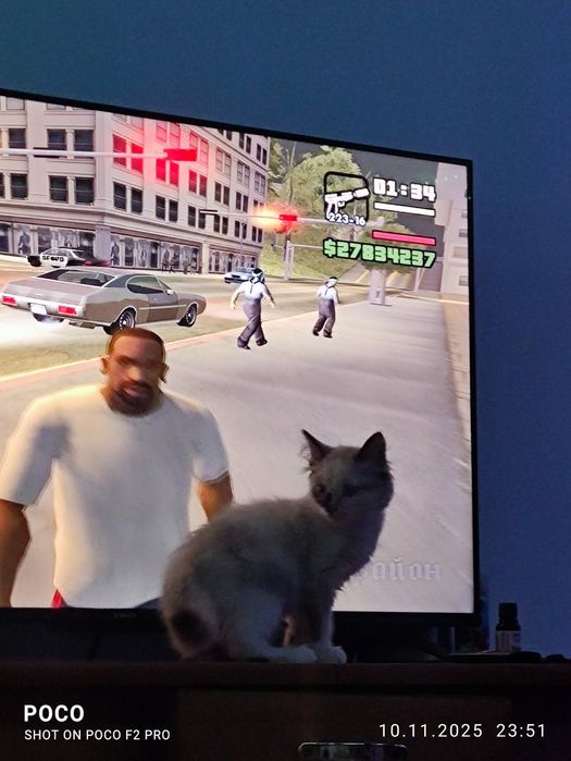 Отдам котенка в хорошие и добрые руки