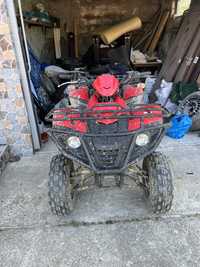 ATV DINLI 802 300